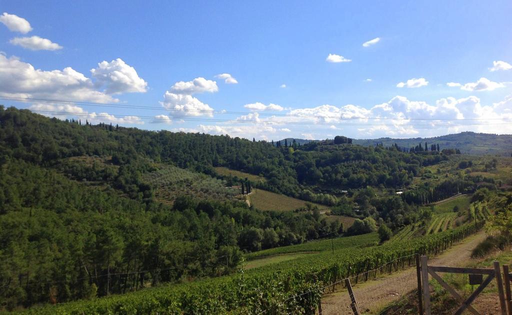 Agriturismo La Camporena グレーヴェ・イン・キアンティ エクステリア 写真
